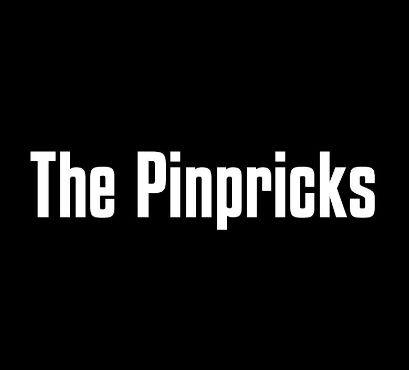 Pinbricker header
