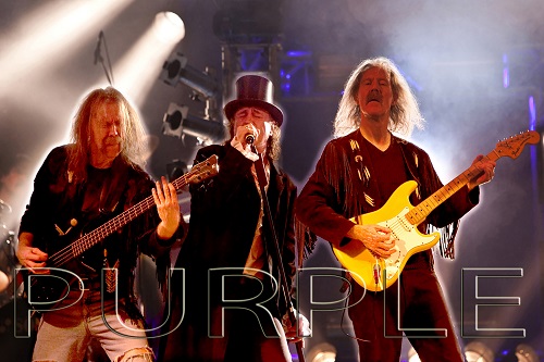 Purple 2024 pic1 By MANFRED SCHMITT 500