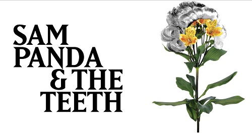 Sam Panda and The Teeth Logo 500
