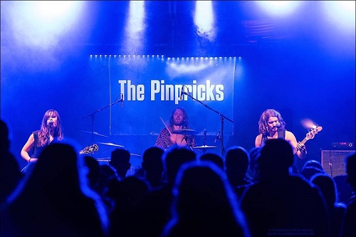 The Pinbricks 2017 Pic1 By Frederic Plambeck 500