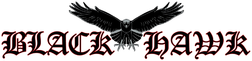 logo on white Trans 500